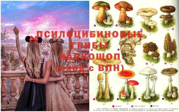 молекула духа Алексин