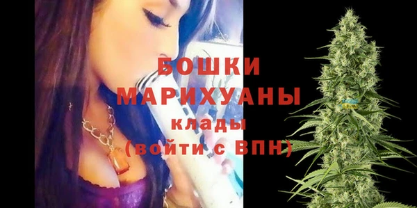 PSILOCYBIN Абдулино