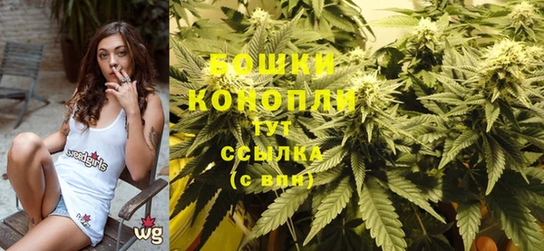 PSILOCYBIN Абдулино