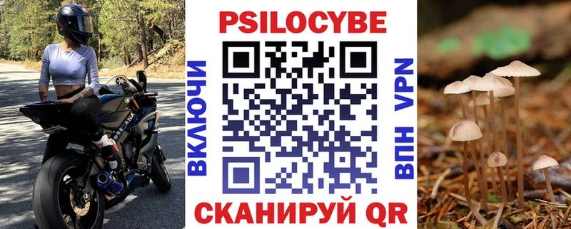 Галлюциногенные грибы Psilocybe  ссылка на мегу как войти  Ядрин 